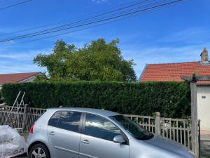 Photo de galerie - Taille de haies et d'arbustes