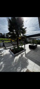 Photo de galerie - Terrassement - Assainissement