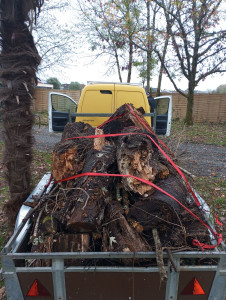 Photo de galerie - Évacuation déchets - Gravats