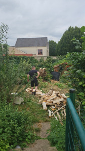 Photo de galerie - Arbres abattu avec succès client content bois coupe fendu en 50 cm garder par la cliente ?