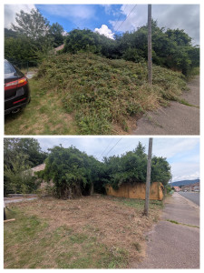 Photo de galerie - Débroussaillage 