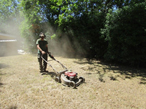 Photo de galerie - Jardinage espace vert