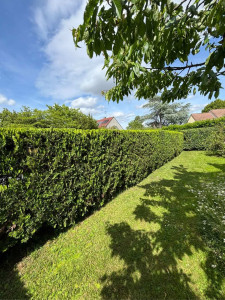 Photo de galerie - Taille de haie 