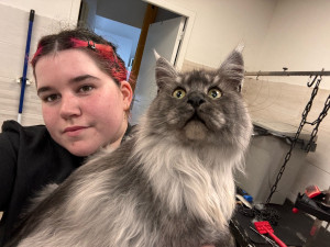 Photo de galerie - Garde animaux