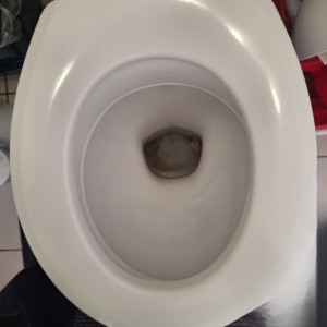 Photo de galerie - ??