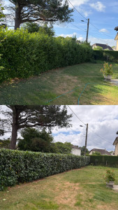 Photo de galerie - Avant Apres 必 Voici la transformation d'une haie réalisée par Les jardins d'Adam. 90 Un jardin propre et soigné fait toute la différence ! Taille de haies Évacuation des déchets verts a