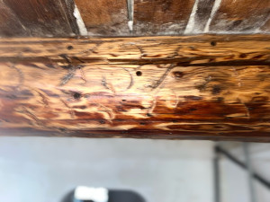 Photo de galerie - Charpente