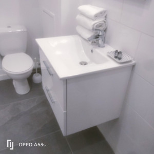 Photo de galerie - Détartrage, désinfection sanitaire 