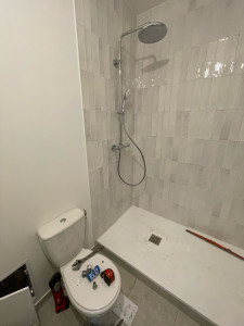 Photo de galerie - Installation colonne de douche