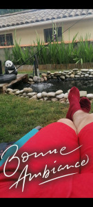 Photo de galerie - Création bassin de jardin pour poisson 