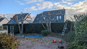 Photo de galerie - Elagage et coupe d'arbres