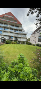 Photo de galerie - Tonte