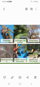 Photo de galerie - Élagueur  paysagiste a votre service 