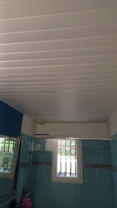 Photo de galerie - Pose lambri 
