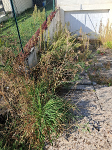 Photo de galerie -  .
