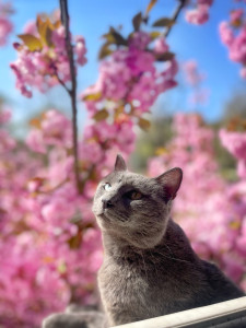 Photo de galerie - Garde Nikita