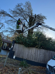Photo de galerie - Travaux avec la sécurité