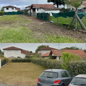 Photo de galerie - Taille de haies et d'arbustes