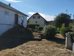 Photo de galerie - Tonte de pelouse - Débroussaillage
