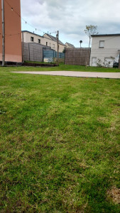 Photo de galerie - Tonte d'une pelouse et évacuation de l'herbe.