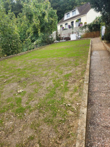 Photo de galerie - Jardin d'un client 