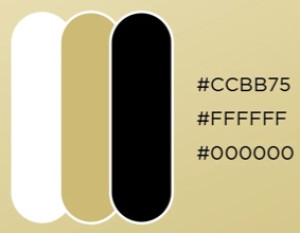 Photo de galerie - Et si je m'occupais de votre charte graphique ?