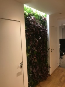 Photo de galerie - Bricolage et multi services