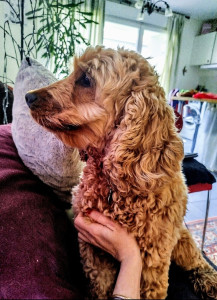 Photo de galerie - R