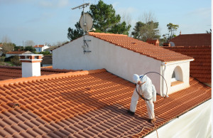 Photo de galerie - Peinture et hydrofuge toiture