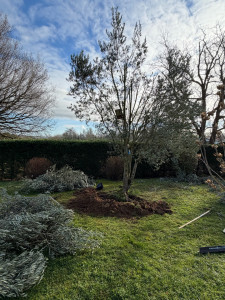 Photo de galerie - Paysagiste - Aménagement du jardin