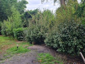 Photo de galerie - Paysagiste - Aménagement du jardin