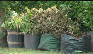 Photo de galerie - AIDE ENLÈVEMENT DÉCHETS VERT A LA DÉCHETTERIE 