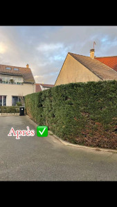 Photo de galerie - Jardinier