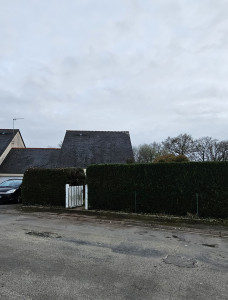 Photo de galerie - APRÈS 
Taille de haie de thuyas.