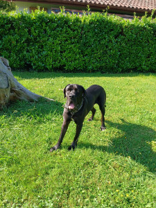 Photo de galerie - Balade 