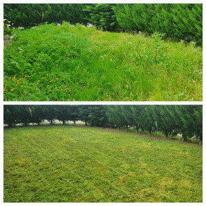 Photo de galerie - Avant/après 