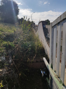 Photo de galerie - Tonte de pelouse - Débroussaillage