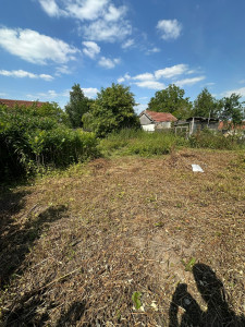 Photo de galerie - Gros débroussaillage de ronces 