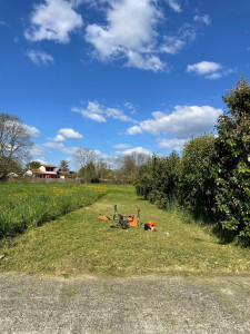 Photo de galerie - Tonte de pelouse - Débroussaillage