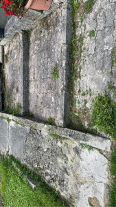 Photo de galerie - Tonte de pelouse - Débroussaillage