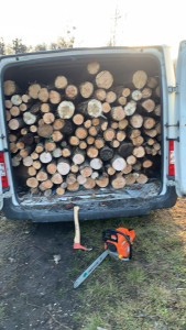 Photo de galerie - Début d’arbre en 1m et évacuation de la coupe chez le client 