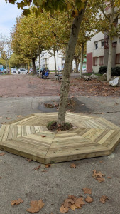 Photo de galerie - Terrasse autour d'un arbre - Pracomtal, Montélimar 