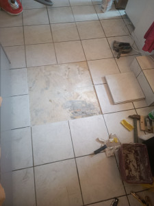 Photo de galerie - Remplacement de carrelage cassé...