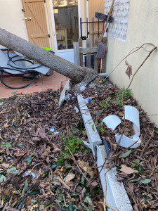 Photo de galerie - Elagage et coupe d'arbres