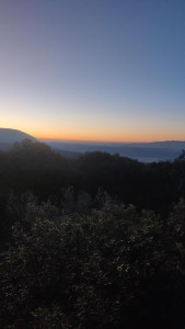 Photo de galerie - Home sitting - Accueil - Gardiennage