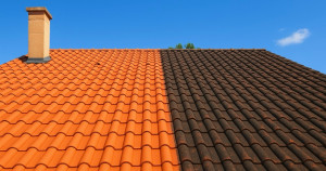 Photo de galerie - Couverture - Toiture