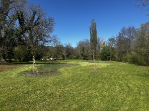 Photo de galerie - Tonte et débrousaillage d’une parcelle