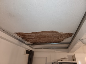 Photo de galerie - Plâtrerie - Murs - Plafonds