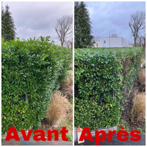 Photo de galerie - Avant après 