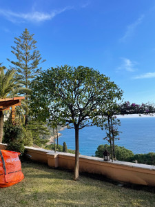 Photo de galerie - Taille agrume.